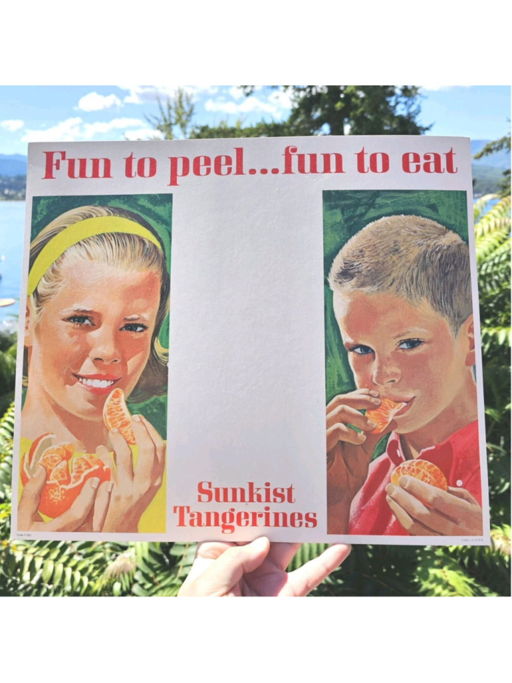 Vintage Sunkist Tangerines Advertising Sign Litho USA Code T-201 16x14